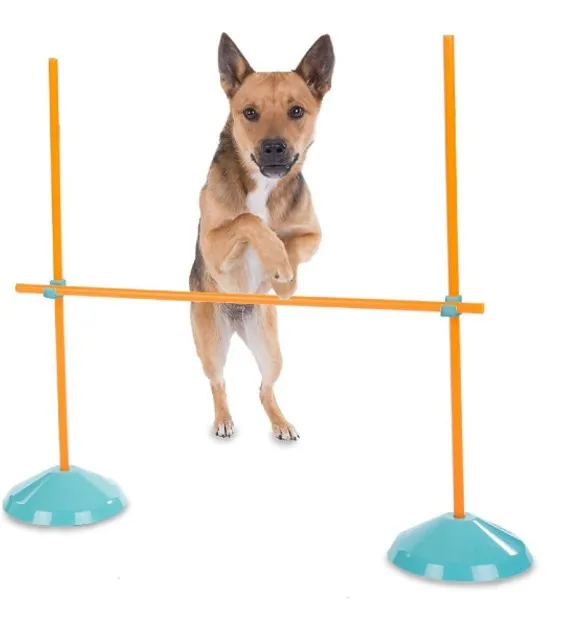 25% OFF: Outward Hound Zip & Zoom Indoor Agility Kit for Dogs