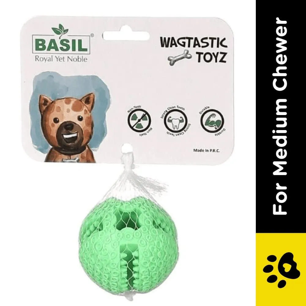 Basil Squeaky Rubber Ball and Treat Dispensing Solid Chew Ball Toys Combo for Dogs