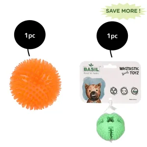 Basil Squeaky Rubber Ball and Treat Dispensing Solid Chew Ball Toys Combo for Dogs