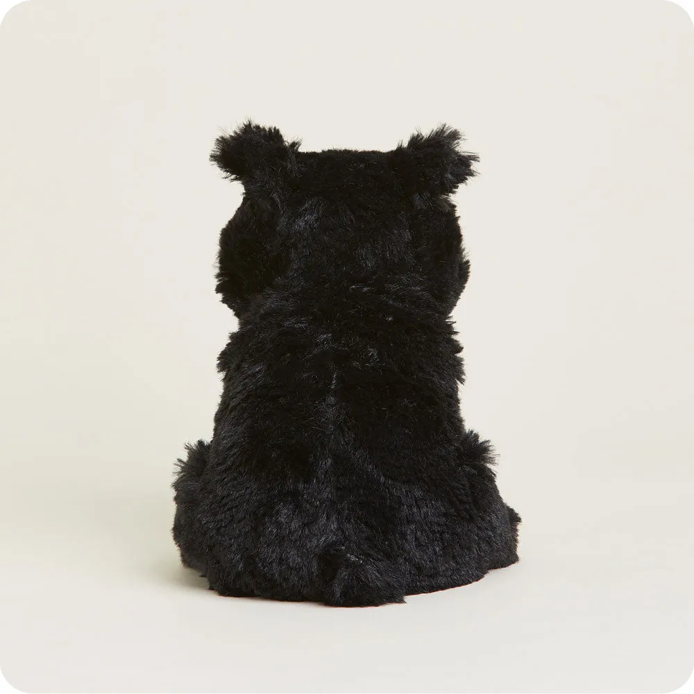 Black Bear Warmies Junior