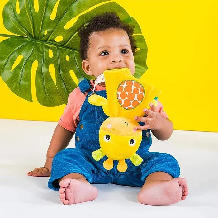 Bright Starts Snuggle & Teethe - Soothing Teether Plush