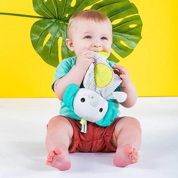 Bright Starts Snuggle & Teethe - Soothing Teether Plush