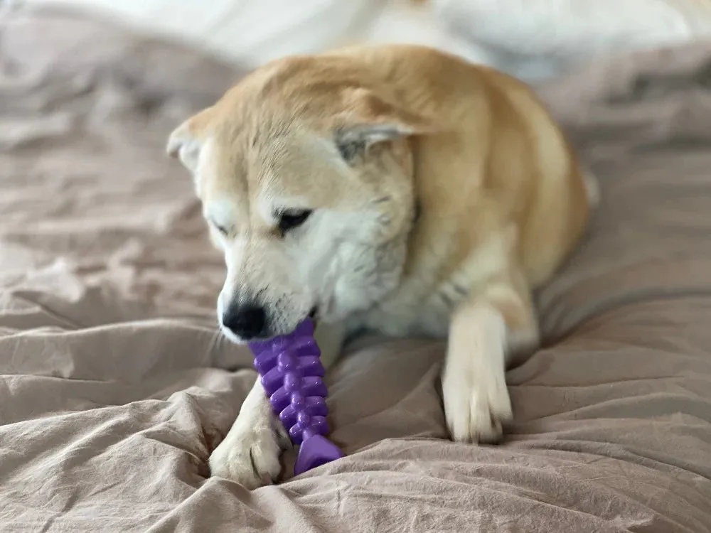 Chew Resistant Toy | Nylon Fish Bone