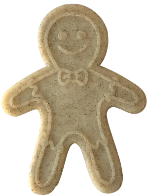 Chew Resistant Toy | Nylon Gingerbread Man