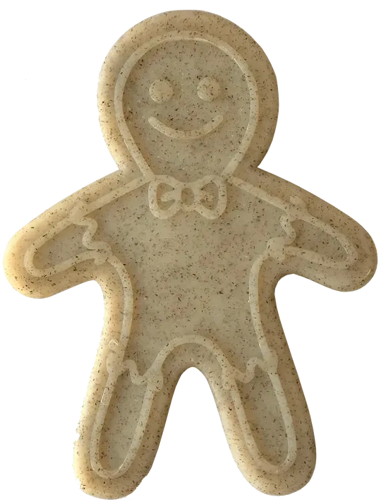 Chew Resistant Toy | Nylon Gingerbread Man