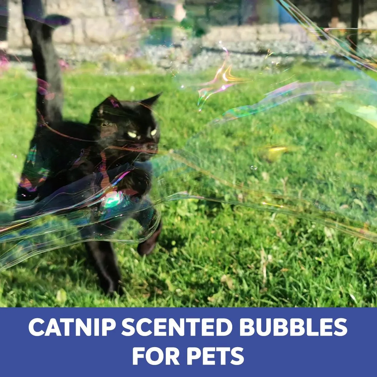 Dr Zigs Pet Bubbles