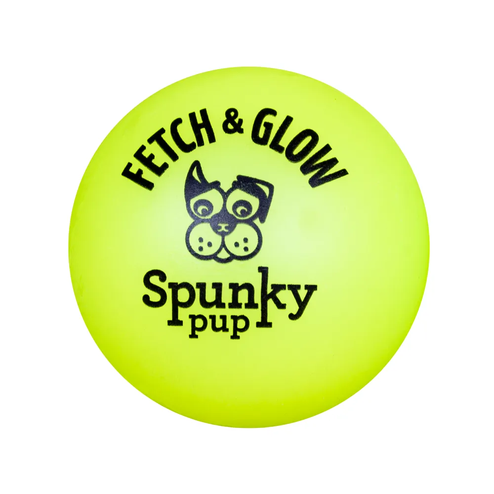 Fetch and Glow Ball Dog Toy - Large