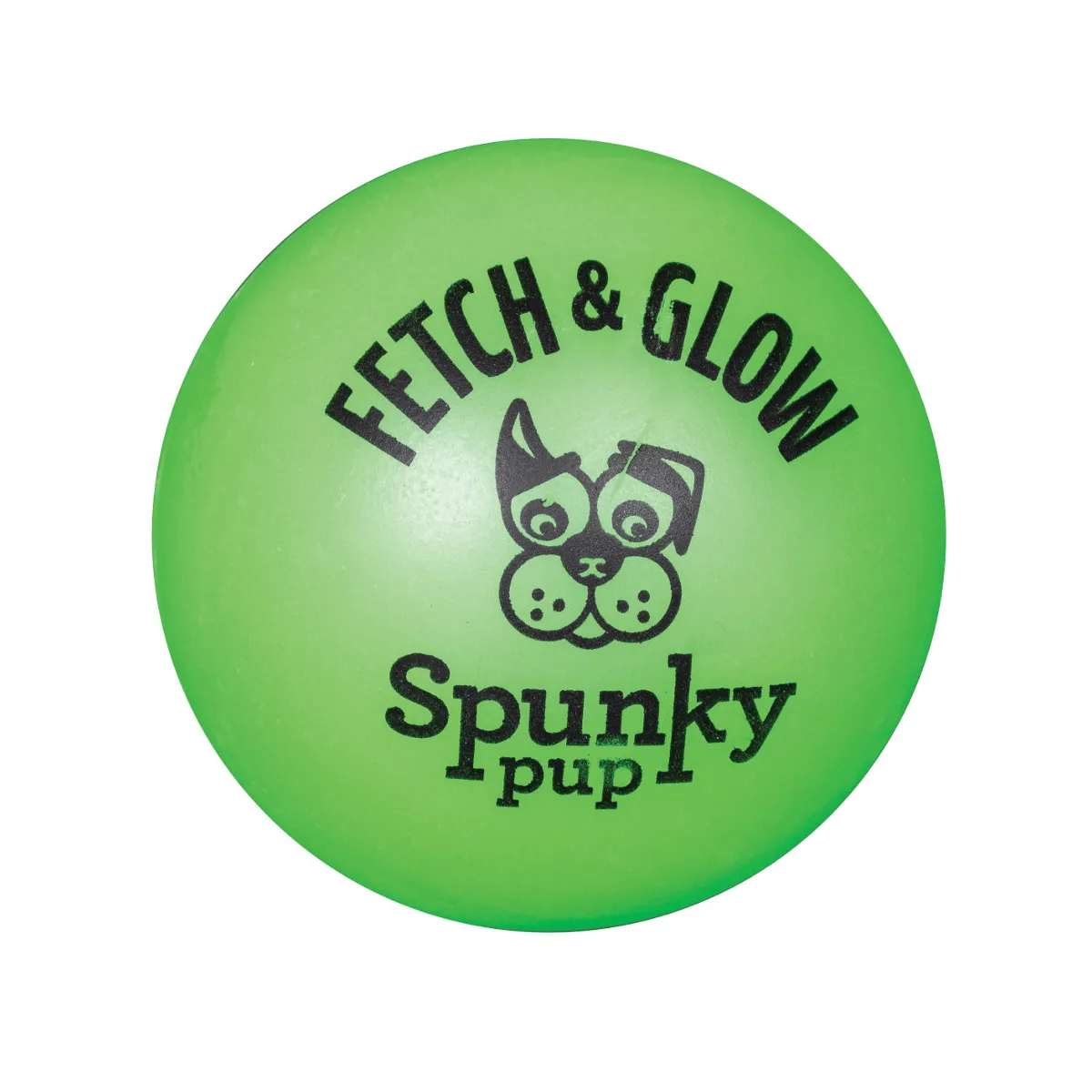 Fetch and Glow Ball Dog Toy - Large