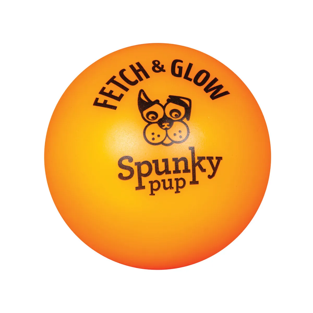 Fetch and Glow Ball Dog Toy - Large