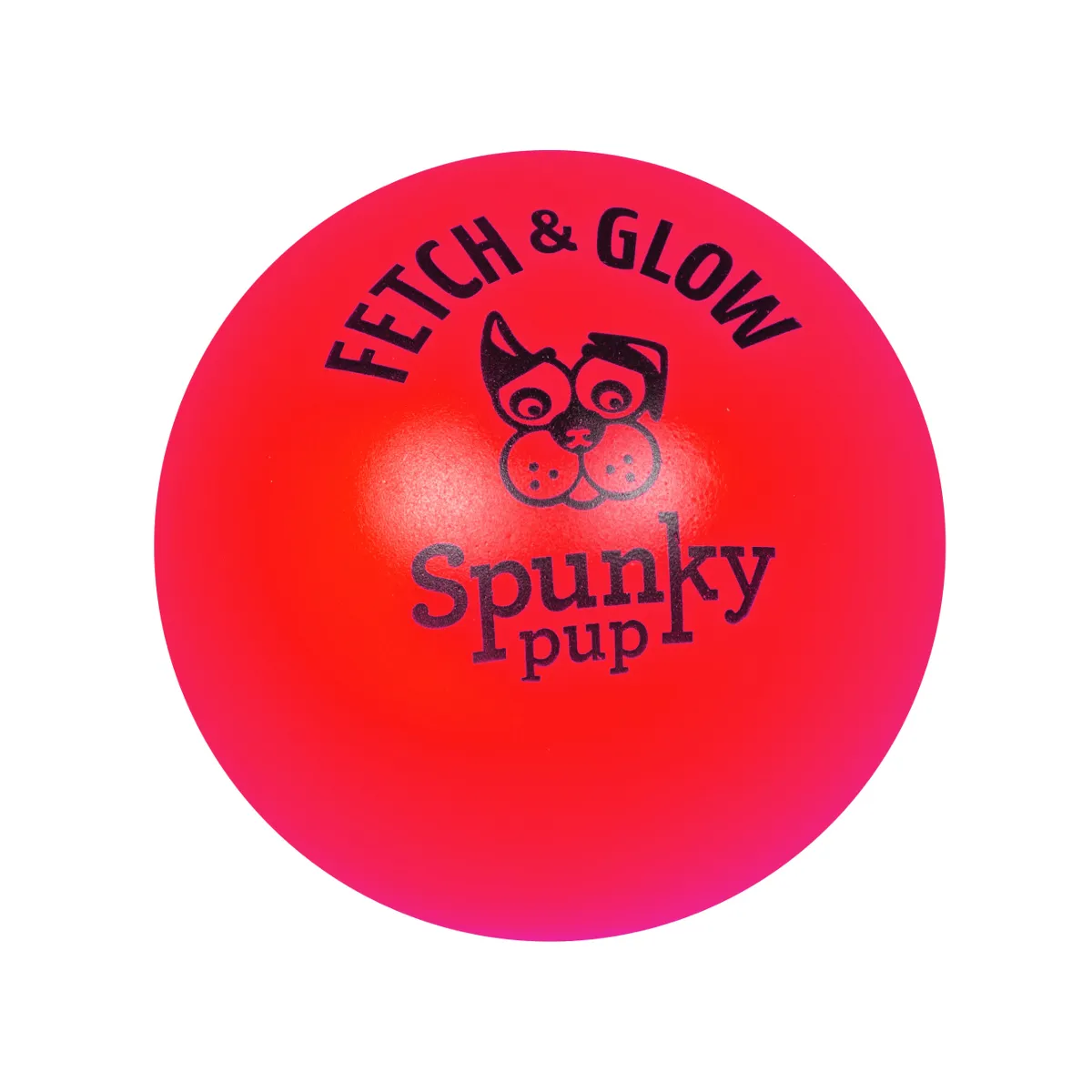 Fetch and Glow Ball Dog Toy - Large