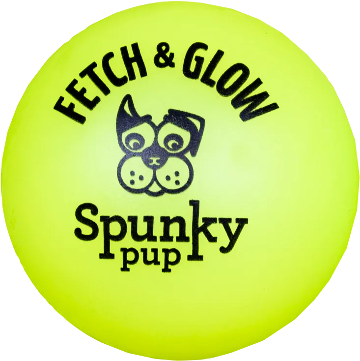 Fetch and Glow Ball Dog Toy - Medium