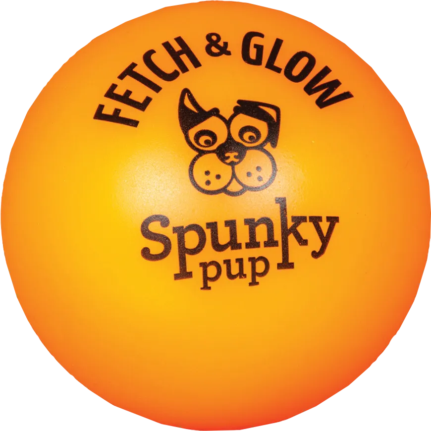 Fetch and Glow Ball Dog Toy - Medium