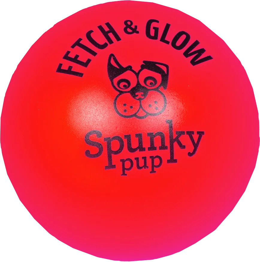 Fetch and Glow Ball Dog Toy - Medium