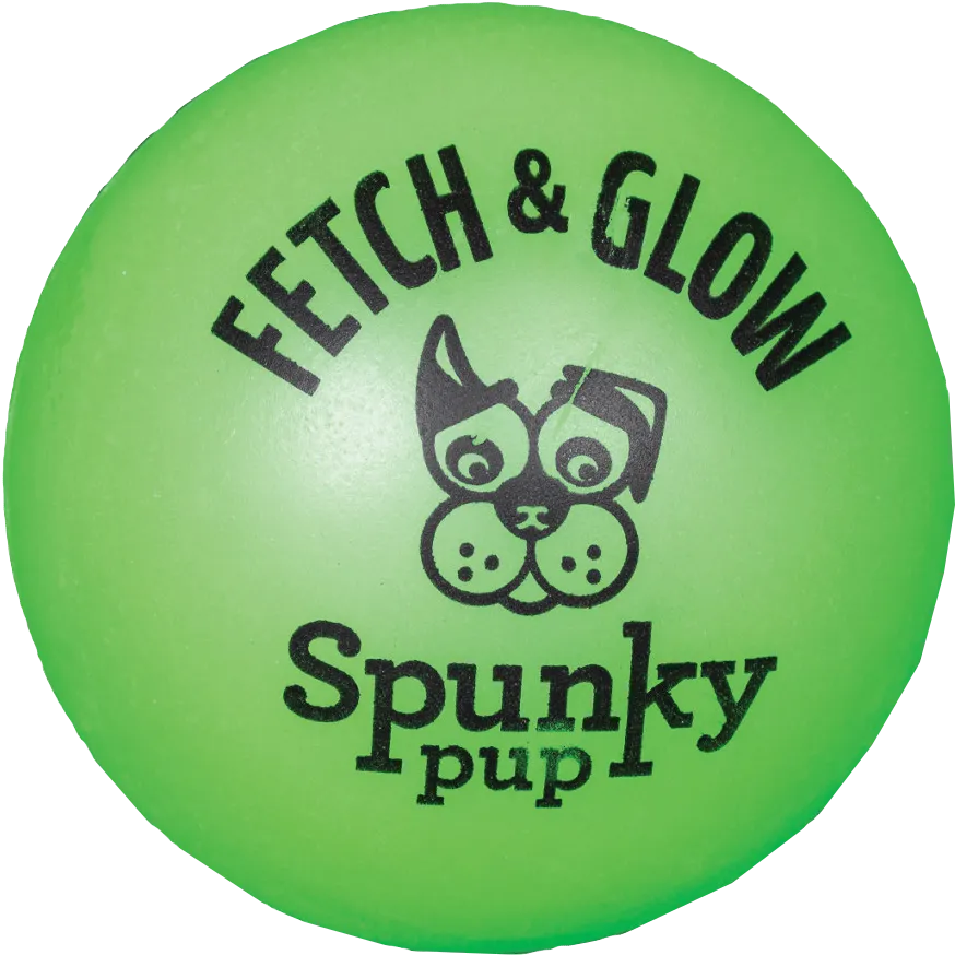 Fetch and Glow Ball Dog Toy - Medium