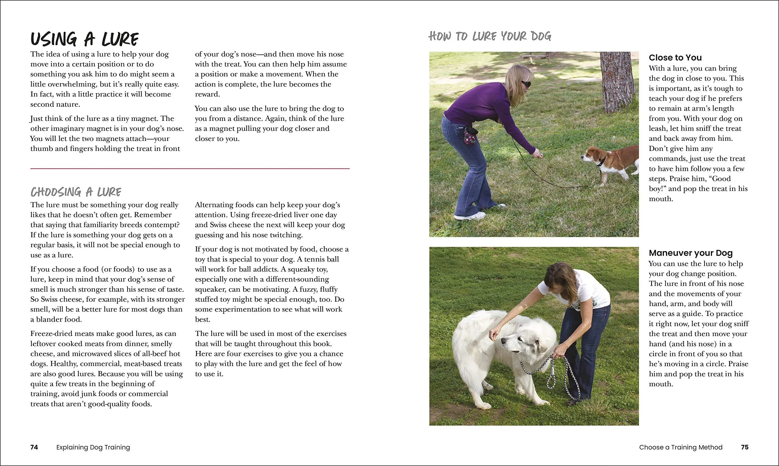 How to Train Your Dog: A Relationship-Based Approach for a Well-Behaved Dog