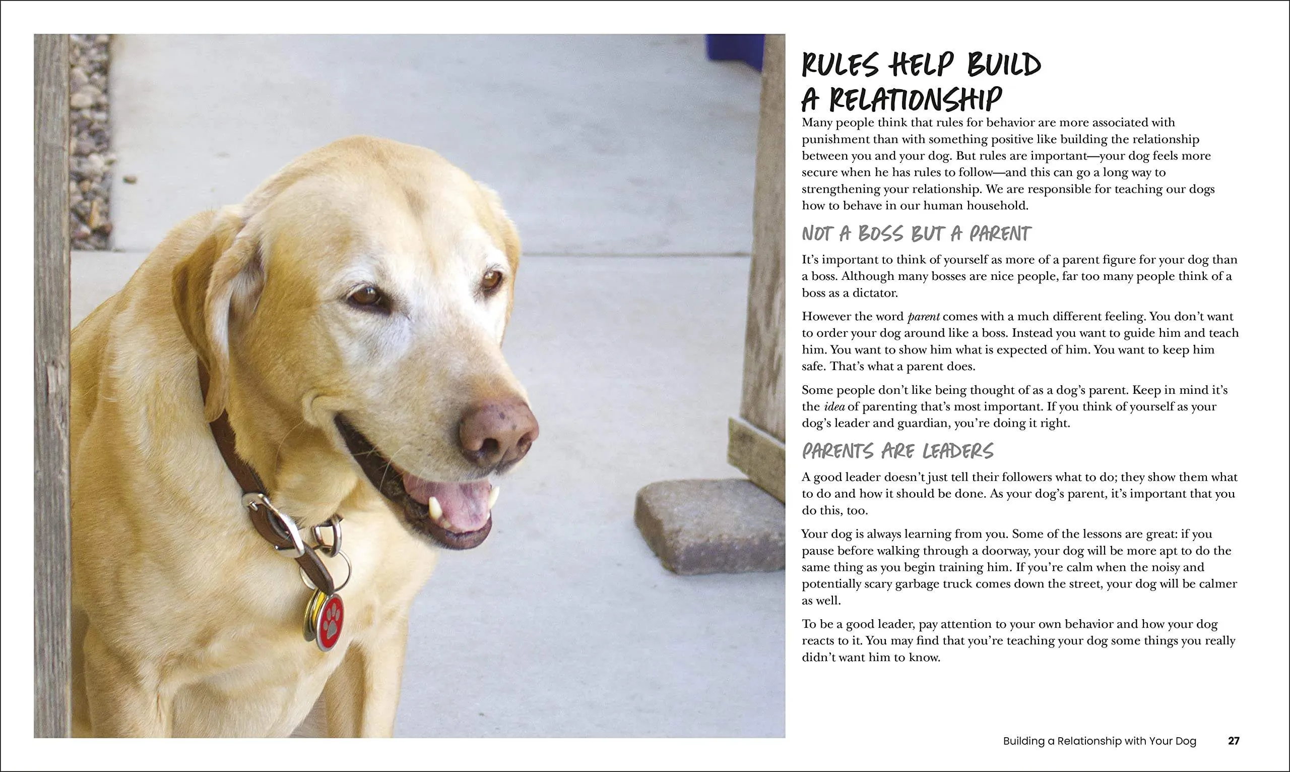 How to Train Your Dog: A Relationship-Based Approach for a Well-Behaved Dog