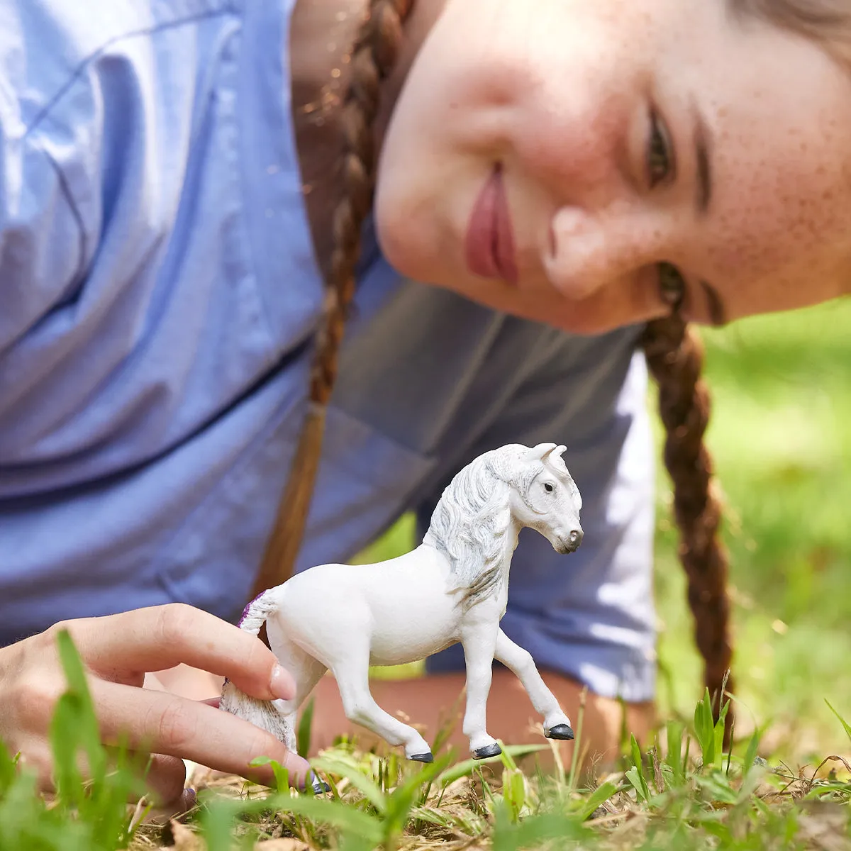 Icelandic Pony Mare