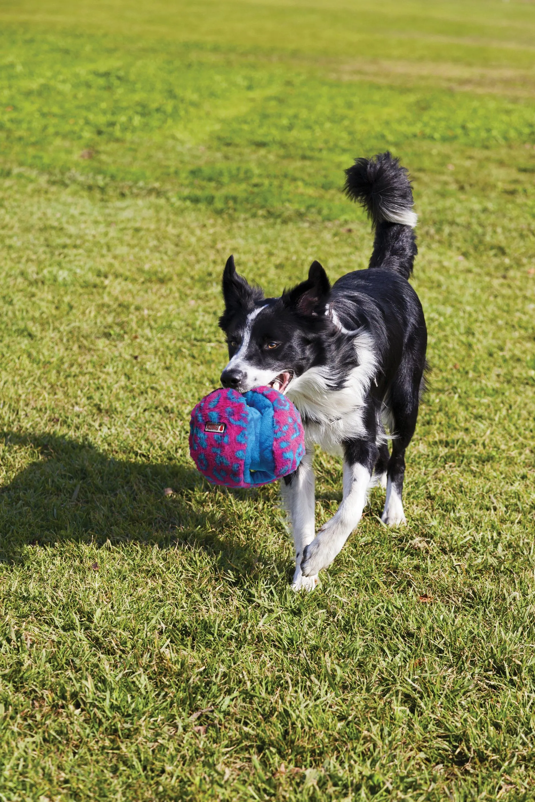 KONG Funzler Dog Toy Blue/Pink