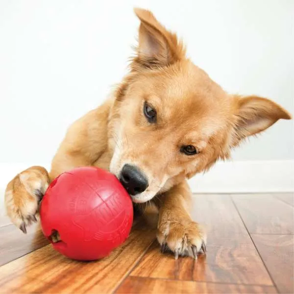 KONG Rubber Biscuit Ball Red