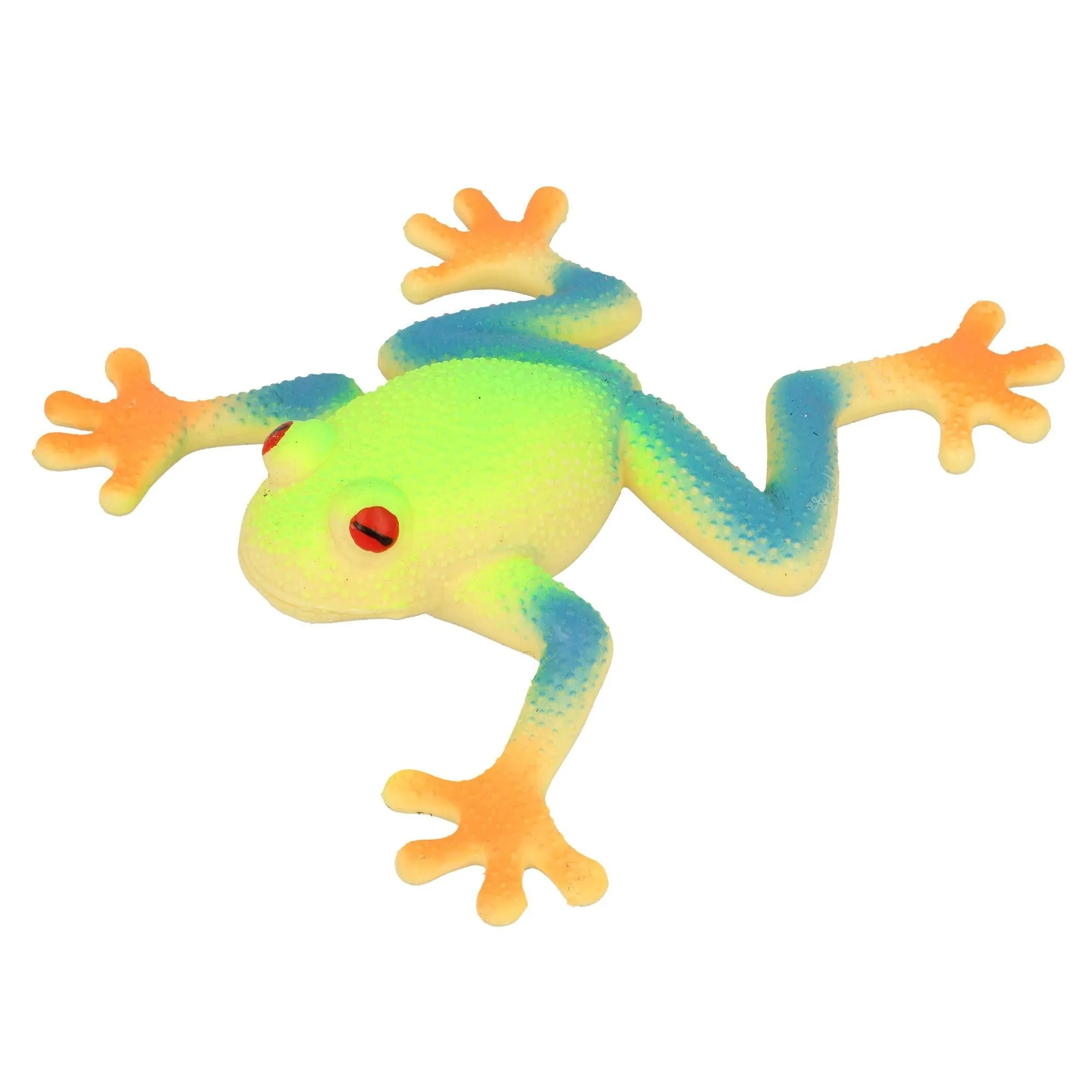 Stretchy Beanie Red Eyed Tree Frog