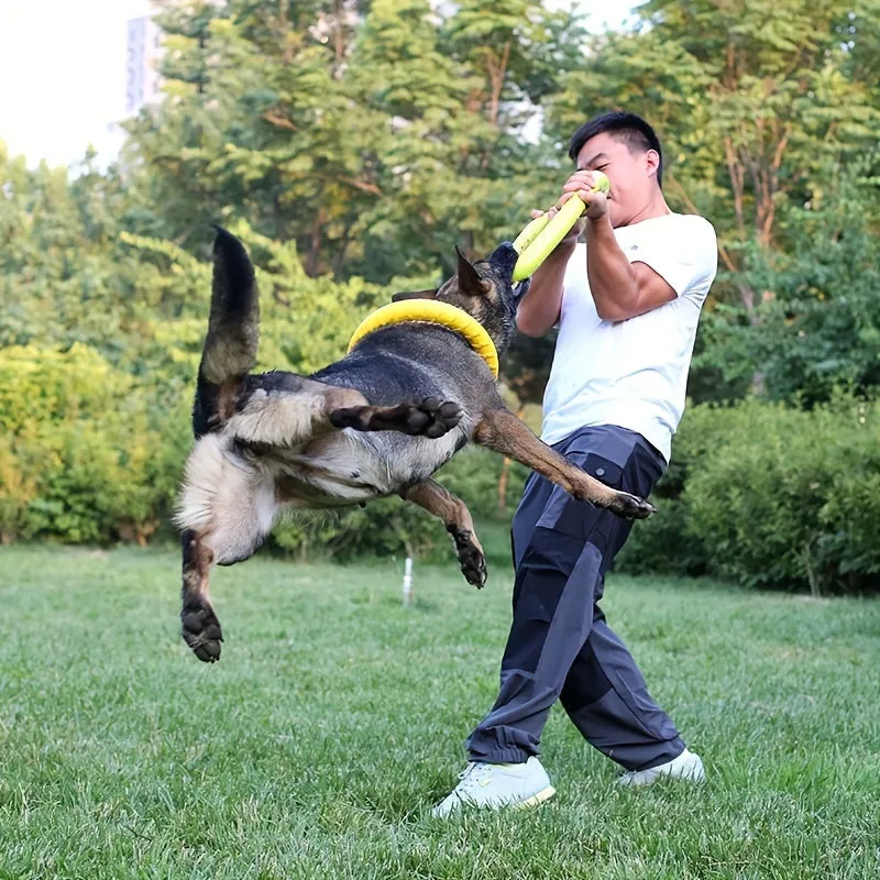 Ultimate Durable Dog Flying Disc Perfect for Aggressive Chewers