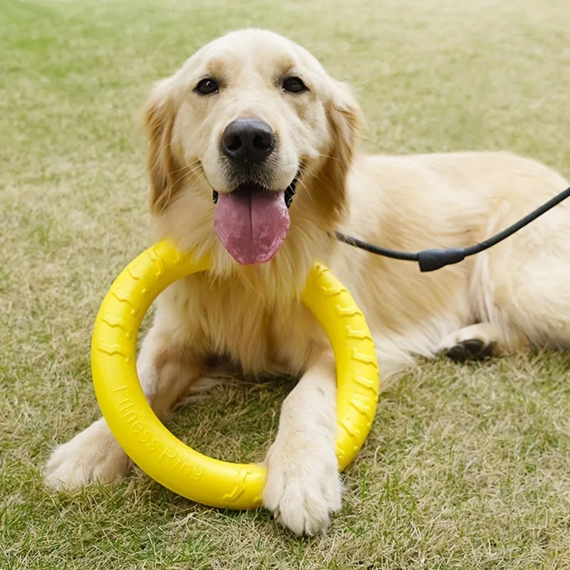 Ultimate Durable Dog Flying Disc Perfect for Aggressive Chewers