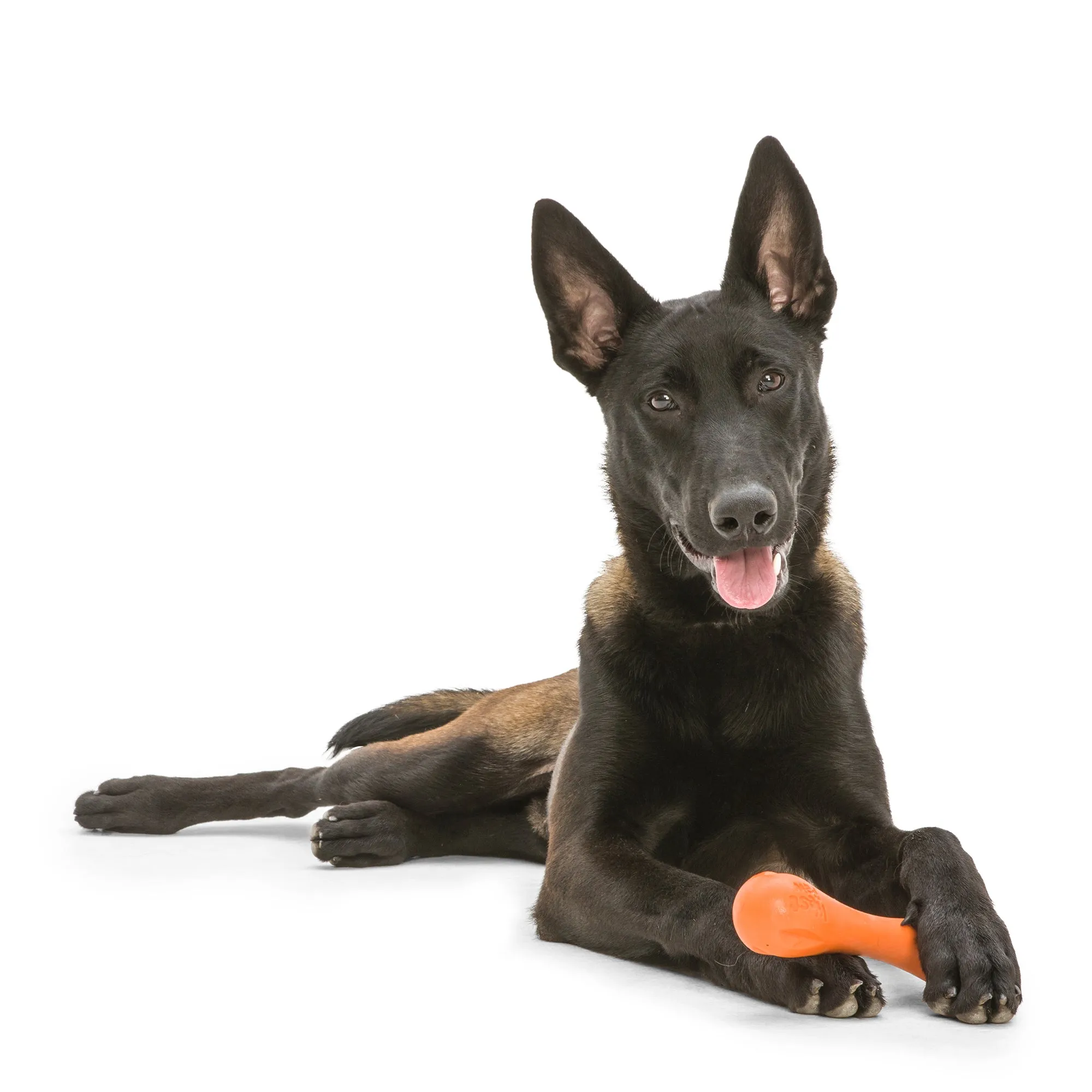 West Paw Hurley Dog Bone Toy