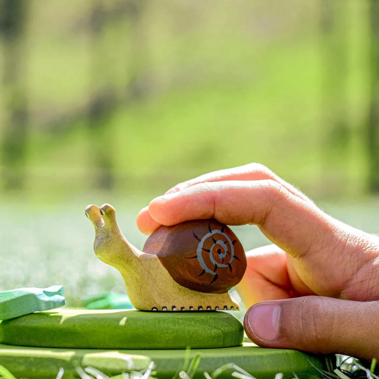 Wooden Snail